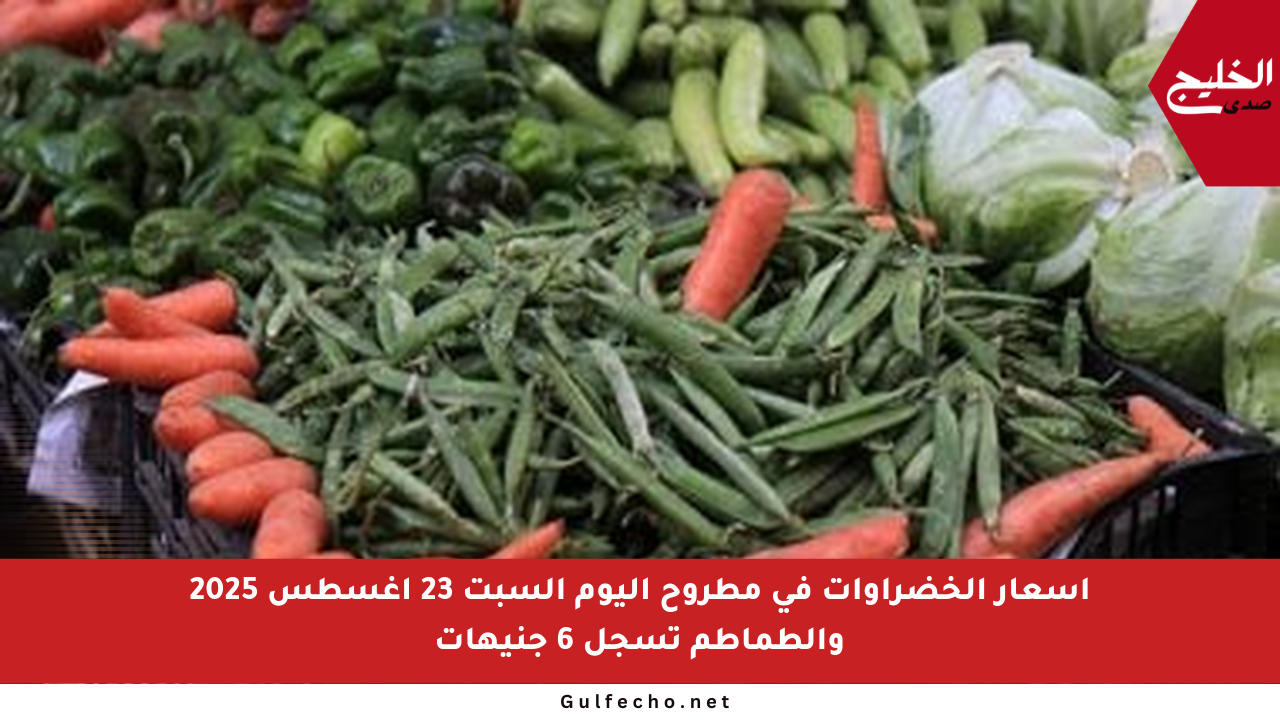أسعار الخضراوات في مطروح اليوم السبت 23 أغسطس 2025 والطماطم تسجل 6 جنيهات